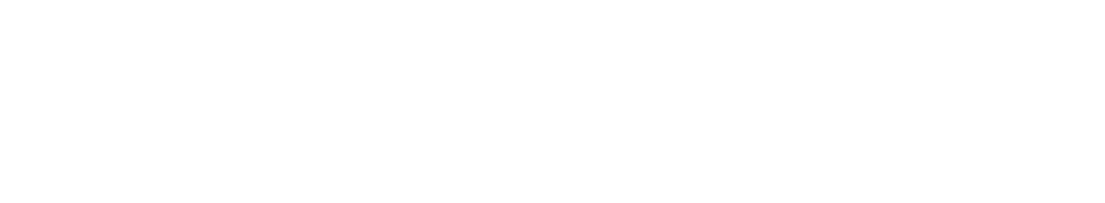Logotyp The Face Project